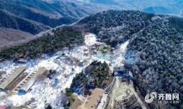 济南跑马岭爆料案件最新